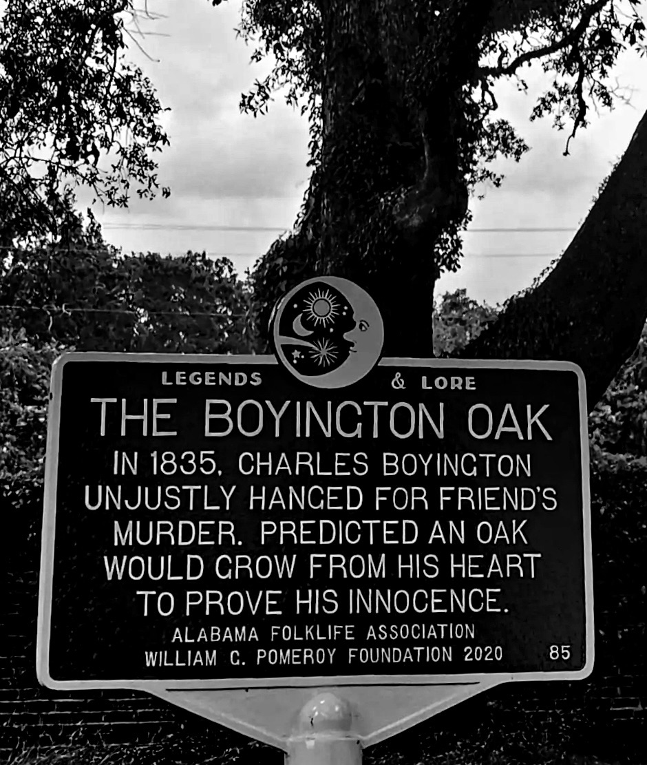 Murder, Mystery, and the Oak That Grew from the Gallows