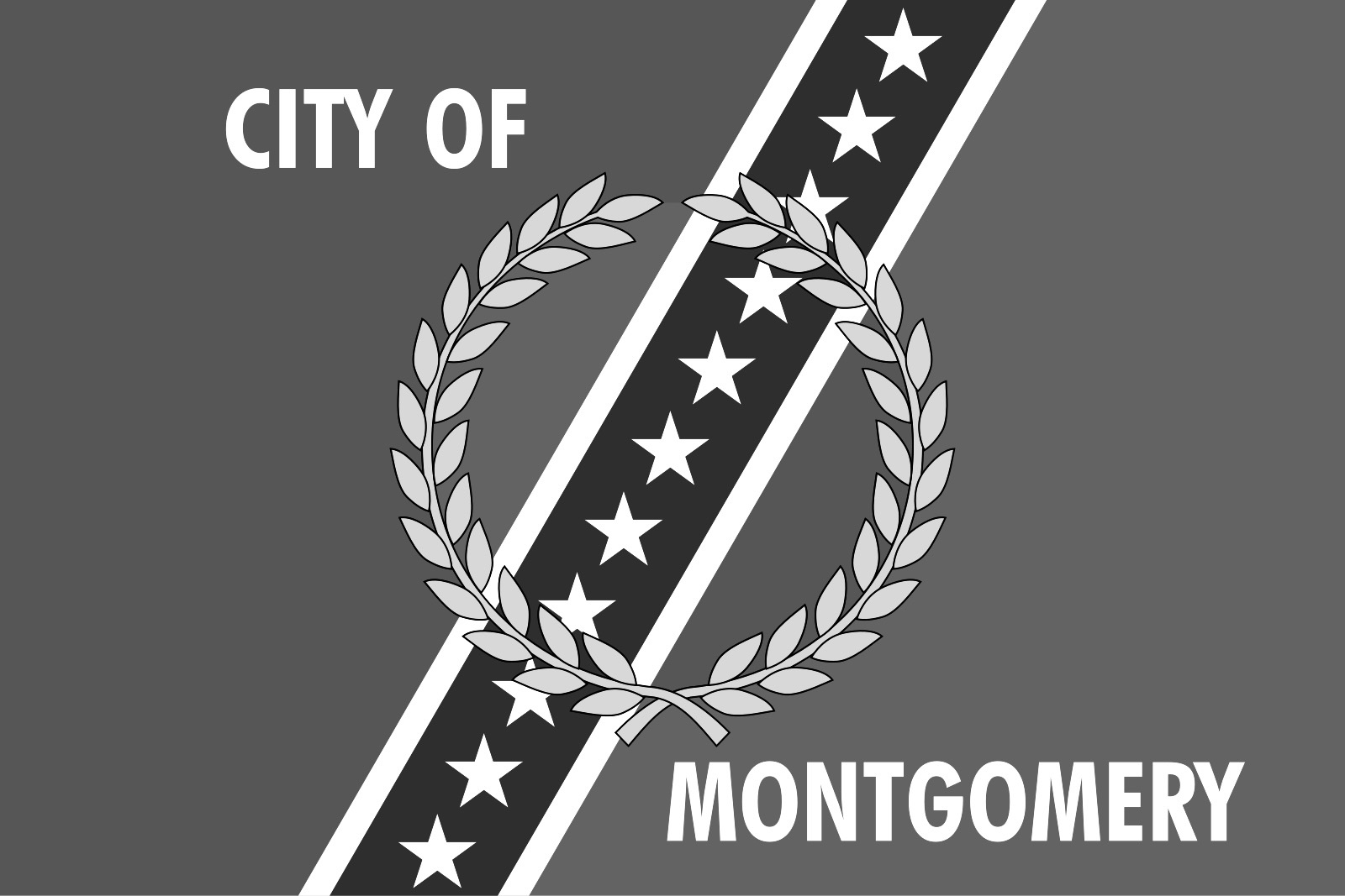 Montgomery High School Senior Pushes for City Flag Change Over Confederate Symbols