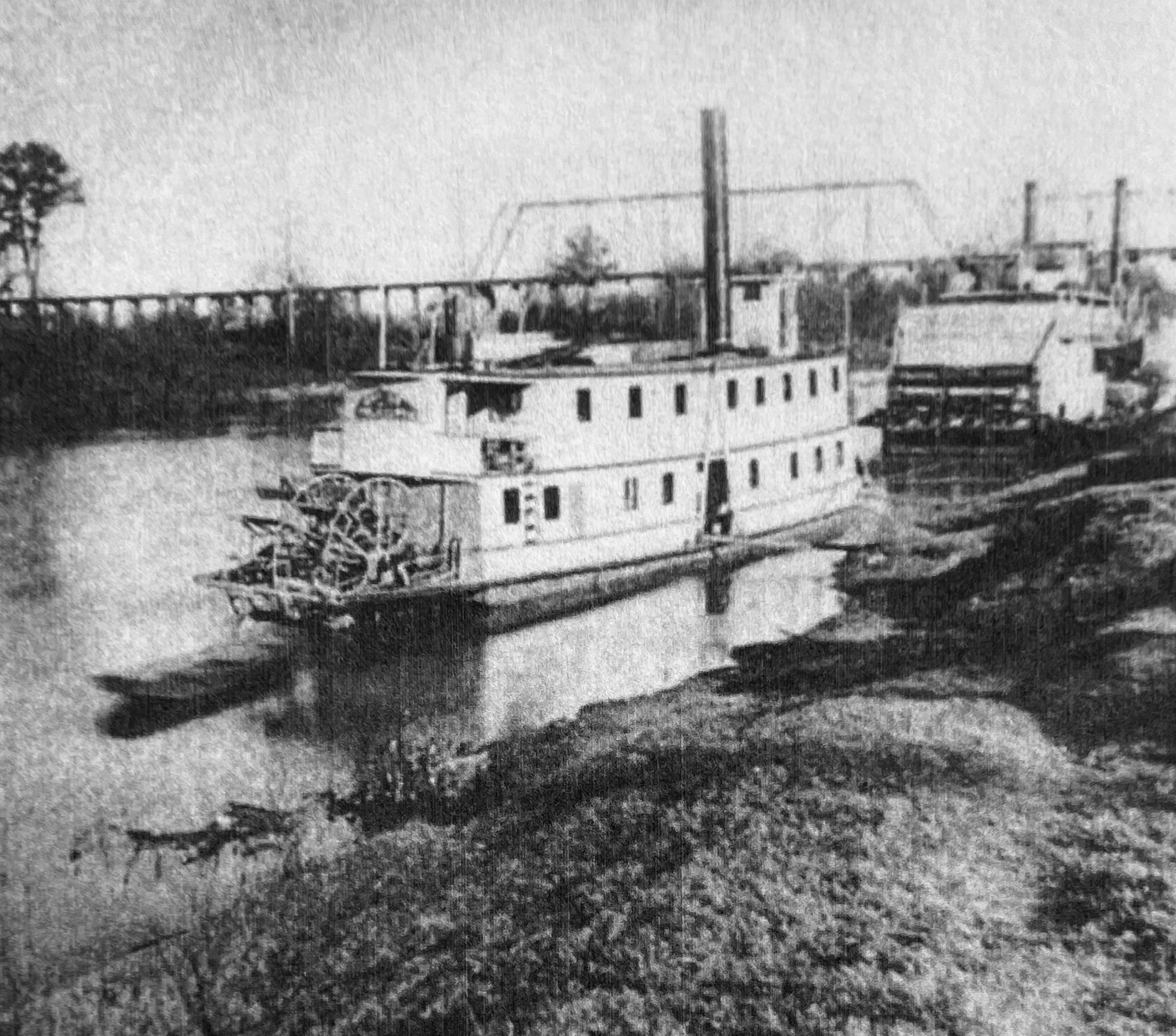 The Gopher’s Journey: Clarence Moore at Moundville