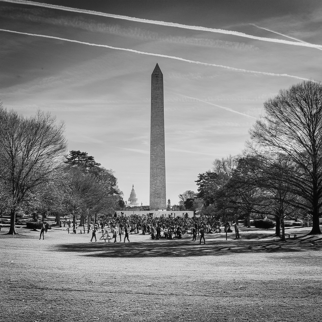 Alabama Woman Survives Brutal Attack in D.C.; Surge in Anti-Trans Violence Raises Alarms