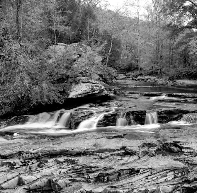 Turkey Creek Nature Preserve Set for Major Expansion With 300-Acre Addition Near Birmingham