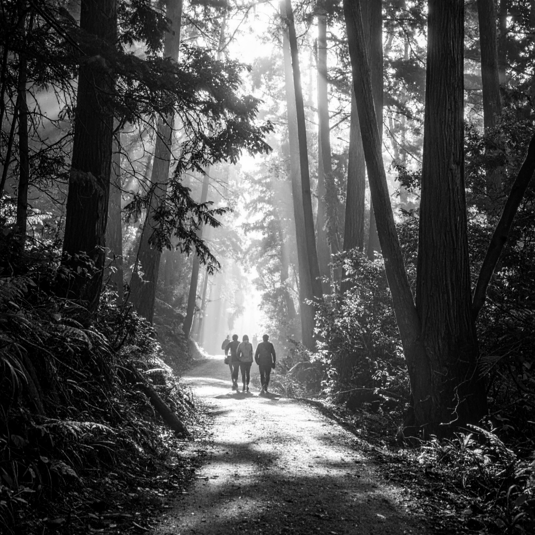 Birmingham City Council Approves $347K for Village Creek Walking Trail