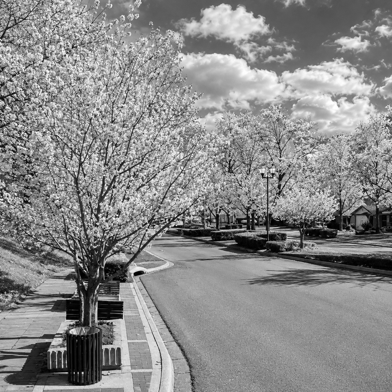Birmingham Grant Fuels Hope for a Stronger West Side